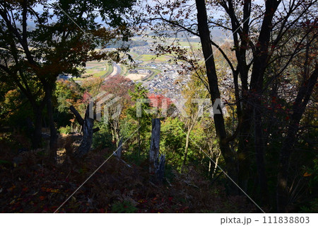 兵庫県豊岡市出石「有子山城」の石垣と曲輪　 111838803