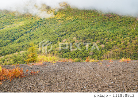 小浅間山山頂より浅間山の麓を望む【北佐久郡軽井沢町】 111838912