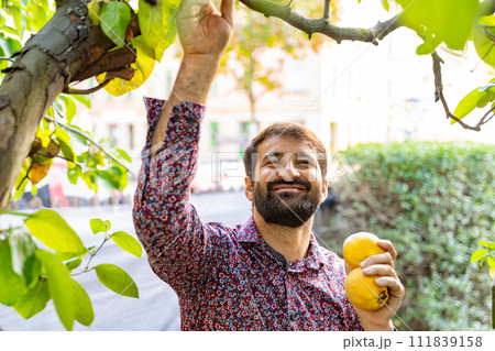 Young bearded man is picking yellow apples from tree in his garden on sunny day Young bearded man is picking yellow apples from tree in his garden on sunny day 111839158