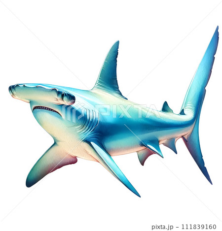 Hammerhead shark 111839160