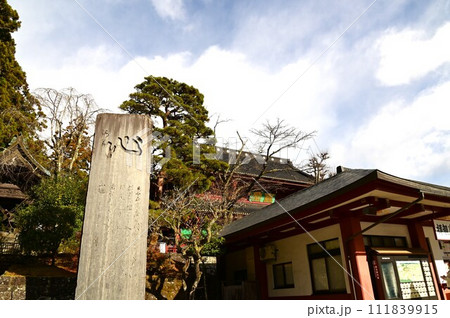 日光東照宮 日光東照宮 111839915