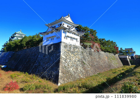 【愛知県】名城公園城郭（名古屋城） 111839980