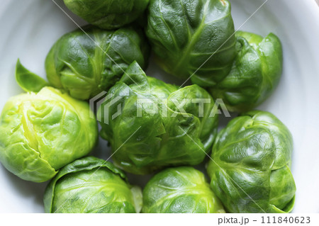 芽キャベツ　　俯瞰 111840623