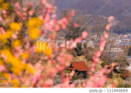 青梅市の梅の公園から花を前ボケに菅原神社方面を望む 青梅市の梅の公園から花を前ボケに菅原神社方面を望む 111840669