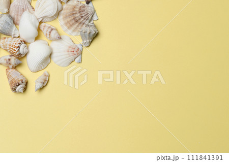 夏イメージ 貝殻 夏イメージ 貝殻 111841391