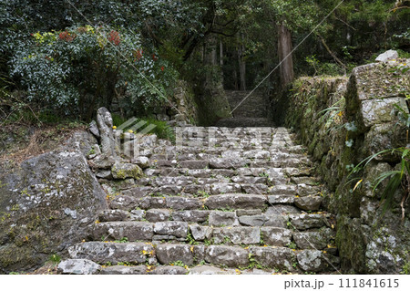 愛知県新城市門谷 秋の鳳来寺山の紅葉 愛知県新城市門谷 秋の鳳来寺山の紅葉 111841615