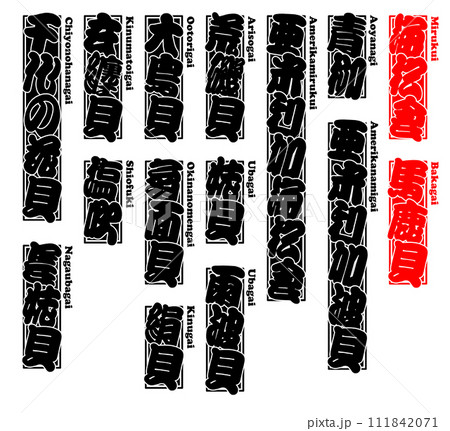 貝 海松食 ミルクイ みるくい Mirukui Trough shell ローマ字 1 111842071