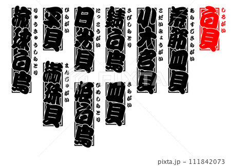 貝 白貝 シロカイ しろかい Shirokai Northern great tellin 日本語 111842073