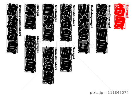 貝 白貝 シロカイ しろかい Shirokai Northern great tellin ローマ字 111842074