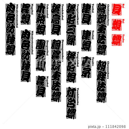 貝 唄 バイ ばい Bai Japanese ivory-shell ローマ字 4 貝 唄 バイ ばい Bai Japanese ivory-shell ローマ字 4 111842098
