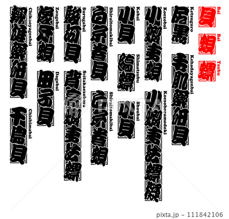 貝 唄 バイ ばい Bai  Japanese ivory-shell ローマ字 3 111842106
