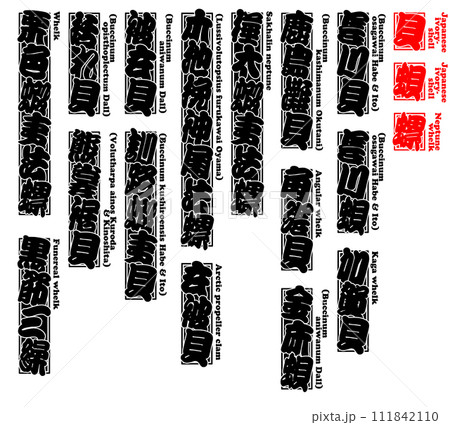 貝 唄 バイ ばい Bai Japanese ivory-shell 英語 2 貝 唄 バイ ばい Bai Japanese ivory-shell 英語 2 111842110