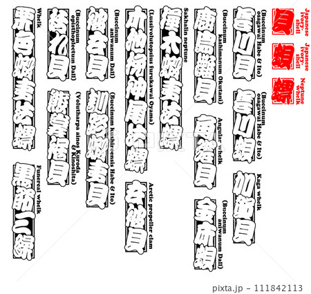 貝 唄 バイ ばい Bai Japanese ivory-shell 英語 2 貝 唄 バイ ばい Bai Japanese ivory-shell 英語 2 111842113