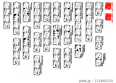 貝 蜊 アサリ あさり Asari Little clam 英語 貝 蜊 アサリ あさり Asari Little clam 英語 111842125
