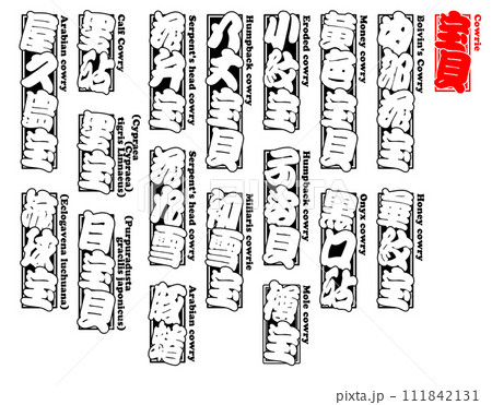 貝 宝貝 タカラガイ たからがい Takaragai Cowrie 英語 111842131