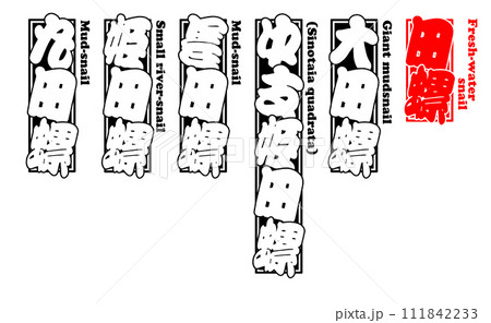 貝 田螺 タニシ たにし Tanishi Fresh-water snail 英語 貝 田螺 タニシ たにし Tanishi Fresh-water snail 英語 111842233