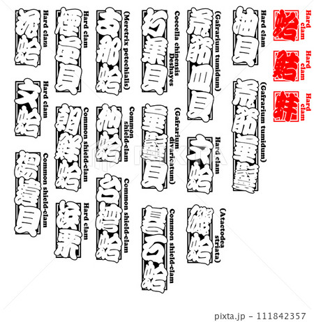 貝 蛤 ハマグリ はまぐり Hamaguri Hard clam 英語 1 111842357