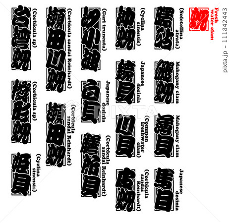 貝 蜆 シジミ しじみ Shijimi Fresh water clam 英語 1 111842443