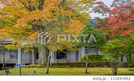 【長野県】軽井沢駅前の紅葉　※軽井沢の自然風景 111842602