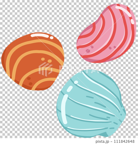 set of sea shells set of sea shells 111842648