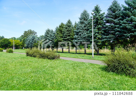 北海道立真駒内公園のどこかで(お散歩) 北海道立真駒内公園のどこかで(お散歩) 111842688