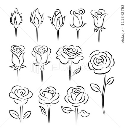 Roses design elements Roses design elements 111842762