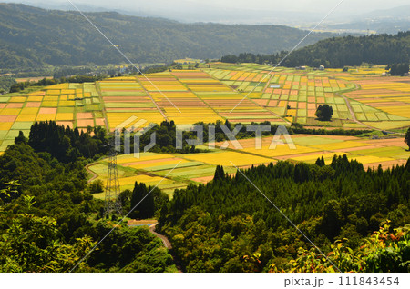 米どころ魚沼の秋の田園風景 米どころ魚沼の秋の田園風景 111843454