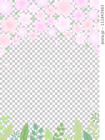 春をイメージした華やかなさくらとグリーンの背景、かわいい手描きイラスト 111843983