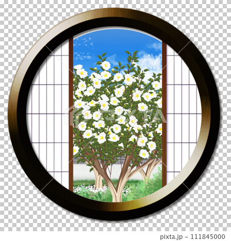 從圓窗可見白色茶梅花的風景 從圓窗可見白色茶梅花的風景 111845000