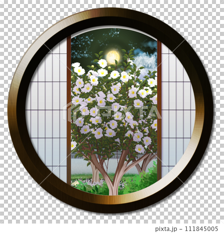 從圓窗看到的月亮照亮的白色茶梅花景觀 111845005