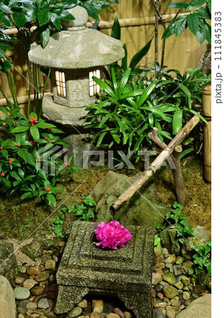 由志園の牡丹 111845383