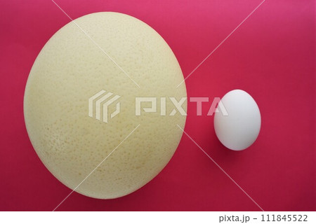 ダチョウのたまごと鶏卵 111845522