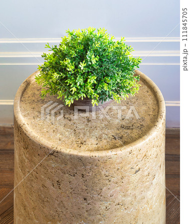 Potted plant on marble side table in modern living room, with sleek surface and minimalist frame 111845705