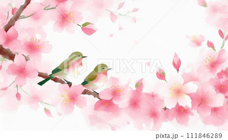 桜と鳥の背景 111846289