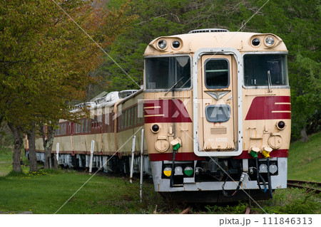 キハ82系気動車特急　三笠鉄道村 三笠鉄道記念館 クロフォード公園 111846313