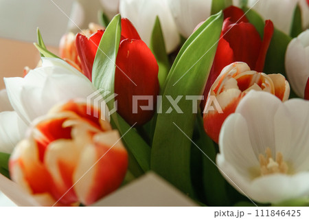 Spring Inspiration: Tulip Bouquet in Honor of International Women's Day Spring Inspiration: Tulip Bouquet in Honor of International Women's Day 111846425