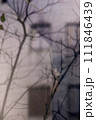 家の窓の景色 111846439