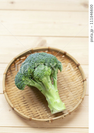 ブロッコリー　指定野菜 111846600