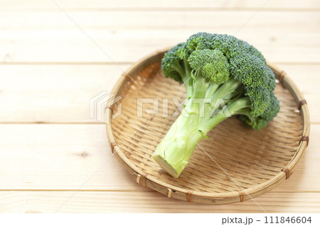 ブロッコリー 指定野菜 ブロッコリー 指定野菜 111846604
