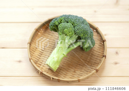 ブロッコリー　指定野菜 111846606