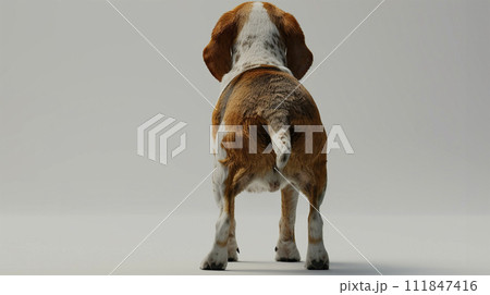ビーグル image of Beagle No1-12 111847416
