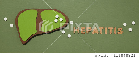 Paper mockup of liver and text on green background, top view 111848821