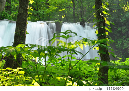 奥入瀬渓流の滝 111849004