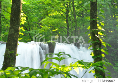 奥入瀬渓流の滝 111849007