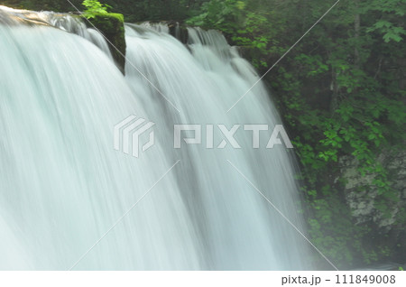 奥入瀬渓流の滝 奥入瀬渓流の滝 111849008