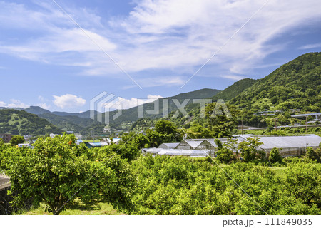 神奈川足柄上郡の風景 神奈川足柄上郡の風景 111849035