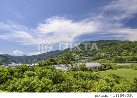 神奈川足柄上郡の風景 111849036