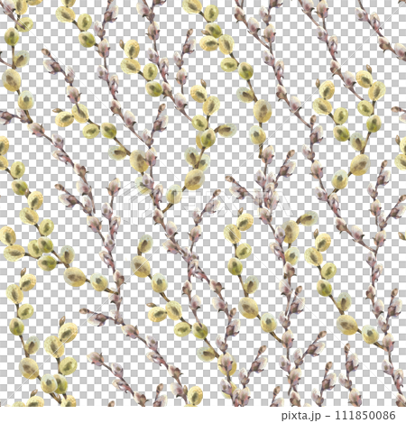 Watercolor seamless pattern with willow branches. Hand painted willow wood isolated on white background. Spring illustration for design, print, fabric or background. Template for Easter Watercolor seamless pattern with willow branches. Hand painted willow wood isolated on white background. Spring illustration for design, print, fabric or background. Template for Easter 111850086