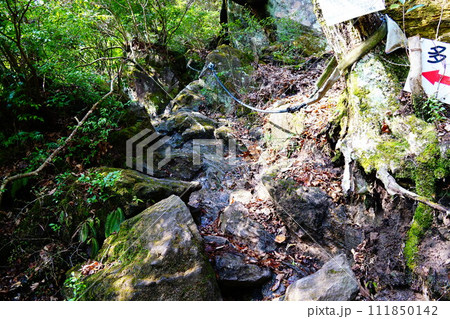 多良岳 山頂へのロープ場 多良岳 山頂へのロープ場 111850142