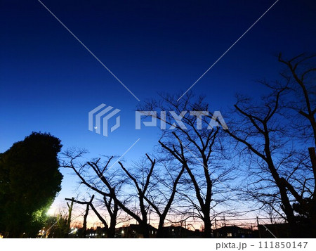 夕暮れの公園 夕暮れの公園 111850147